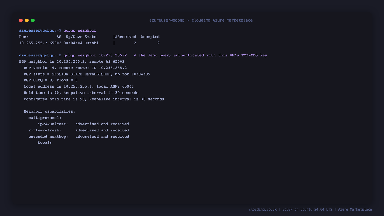 gobgp neighbor showing the demo peer ESTABLISHED, and the neighbor detail with the negotiated BGP session