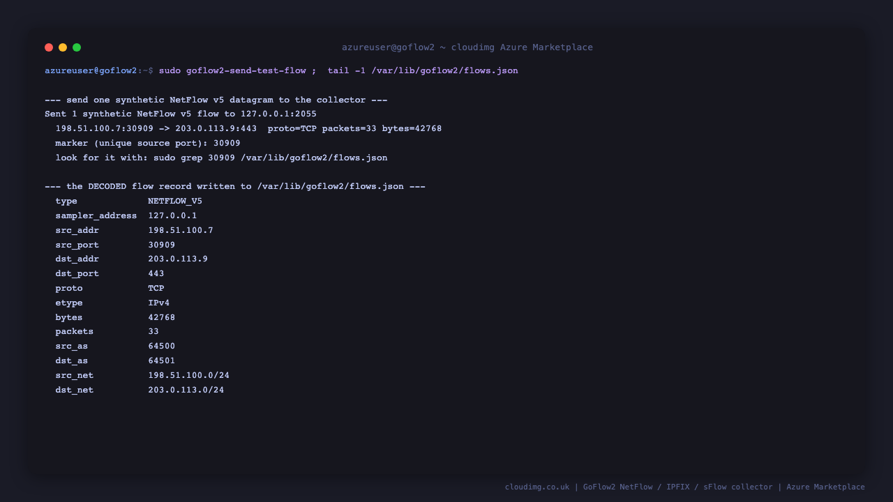 The bundled goflow2-send-test-flow tool sends one synthetic NetFlow v5 datagram to the collector and reports the unique marker source port, and the decoded flow record read back from the flow file shows type NETFLOW_V5 with the source and destination addresses, ports, protocol, byte and packet counts and autonomous system numbers