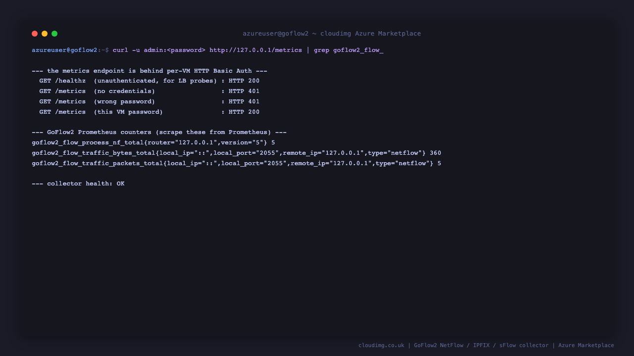 The metrics endpoint returns HTTP 200 for the unauthenticated health path, HTTP 401 with no credentials and with a wrong password, and HTTP 200 with this VM's password, followed by the GoFlow2 Prometheus counters for NetFlow samples processed, traffic bytes and traffic packets, and the collector health reporting OK