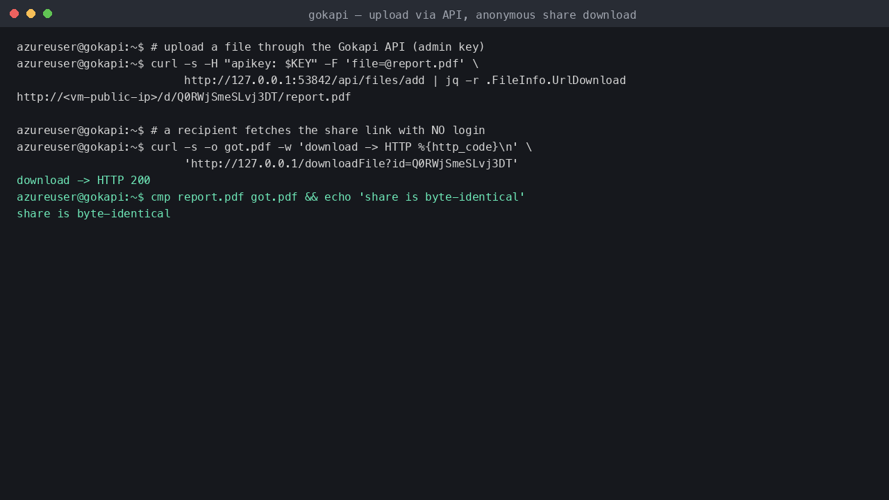 Uploading a file through the Gokapi API and fetching the generated share link anonymously with a byte-identical download