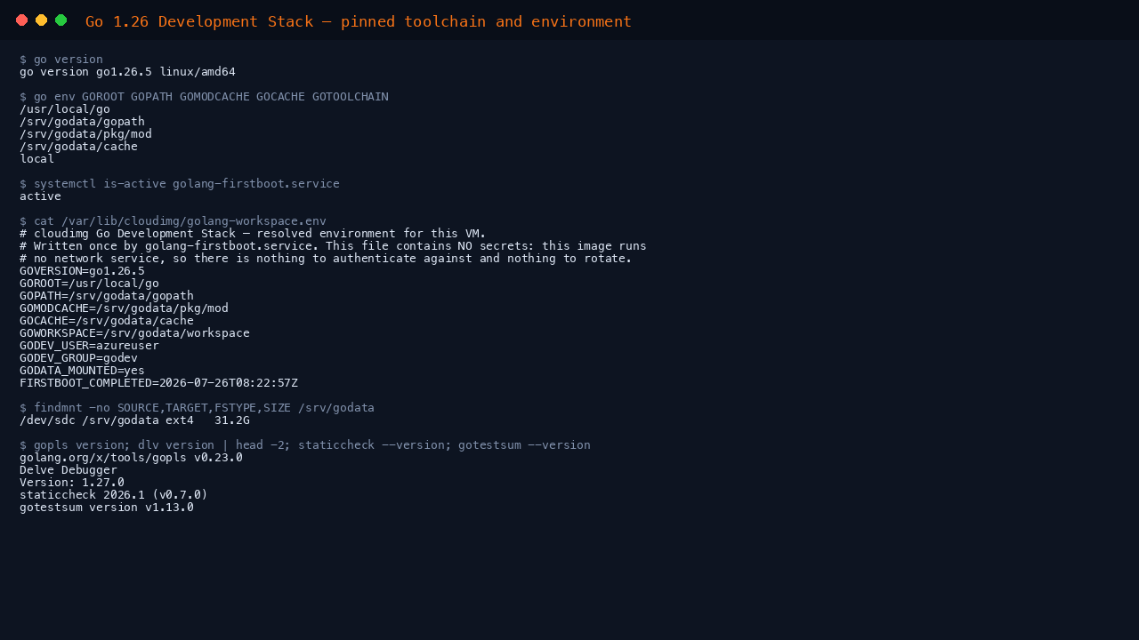 Terminal showing go version reporting go1.26.5, the Go environment pointing GOPATH and both caches at the dedicated /srv/godata volume with GOTOOLCHAIN pinned to local, the first boot environment manifest, and the installed versions of gopls, Delve, staticcheck and gotestsum