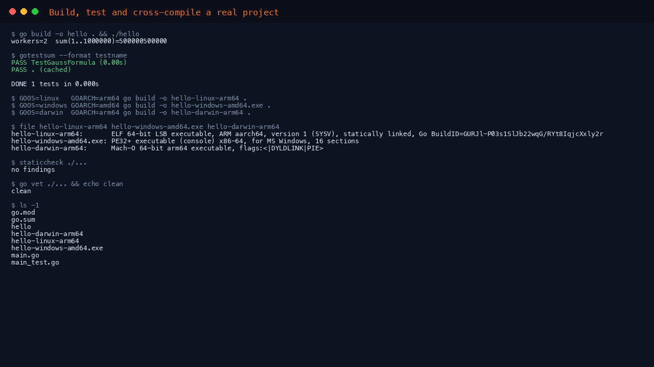 Terminal showing a project being built and run, gotestsum reporting a passing test, three cross compiled binaries for linux arm64, windows amd64 and darwin arm64 with file confirming each is a genuine foreign object, and clean staticcheck and go vet runs