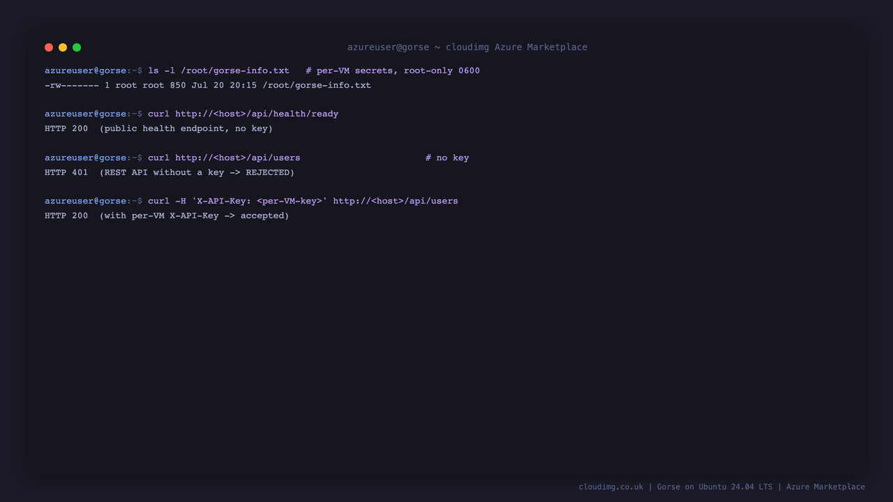 Terminal showing the root only 0600 secrets file, the public health endpoint returning 200, and the REST API rejecting a request without a key with HTTP 401 then accepting the per VM key with HTTP 200