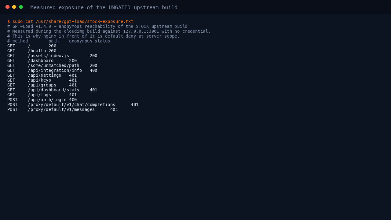 The recorded anonymous reachability of the stock upstream build, showing the dashboard, health endpoint, static assets and any unmatched path all answering 200 with no credential