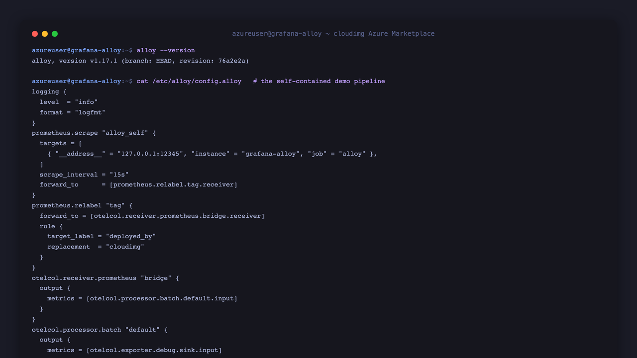 The Grafana Alloy binary version, the self contained demo pipeline config, and alloy fmt confirming the config is valid