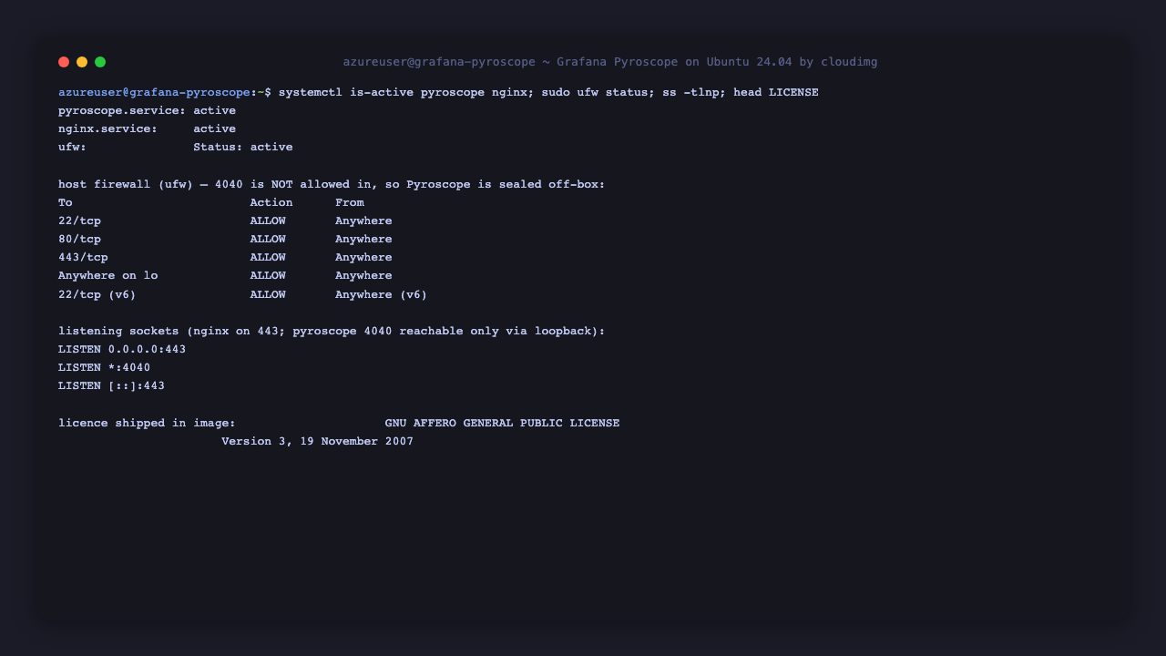 Pyroscope, nginx and ufw active; nginx listens on 443 while Pyroscope's port 4040 is sealed off-box by the host firewall, and the AGPL-3.0 licence ships with the image