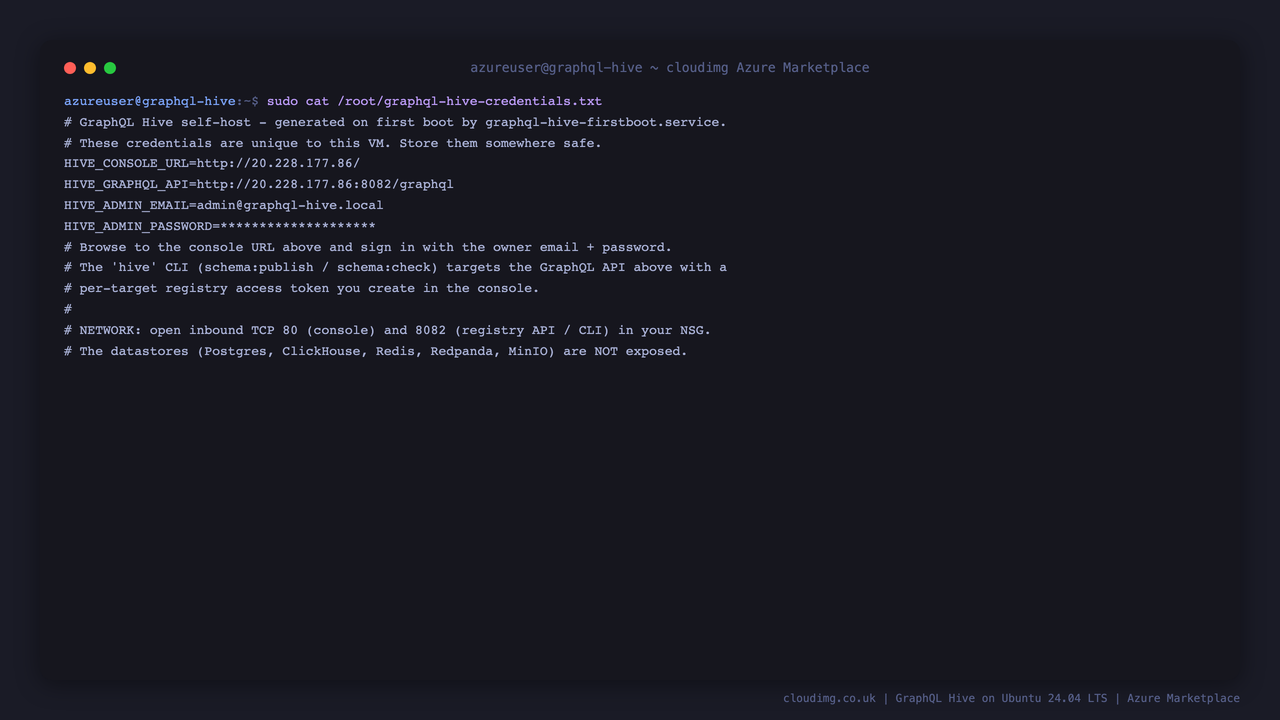 The per-VM Hive owner credentials file, with the generated owner email, password and console URL