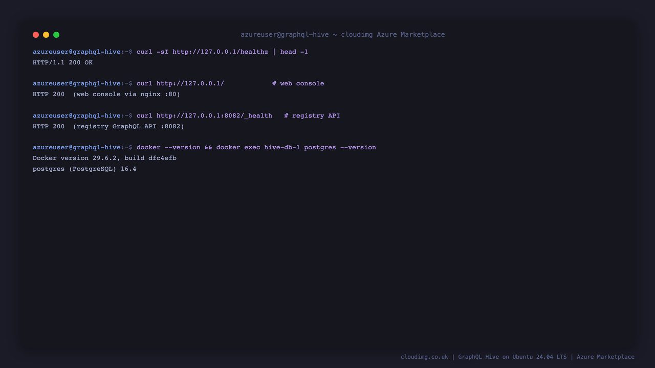 The healthz endpoint returning 200, the console and registry API responding, and the bundled Docker and PostgreSQL versions