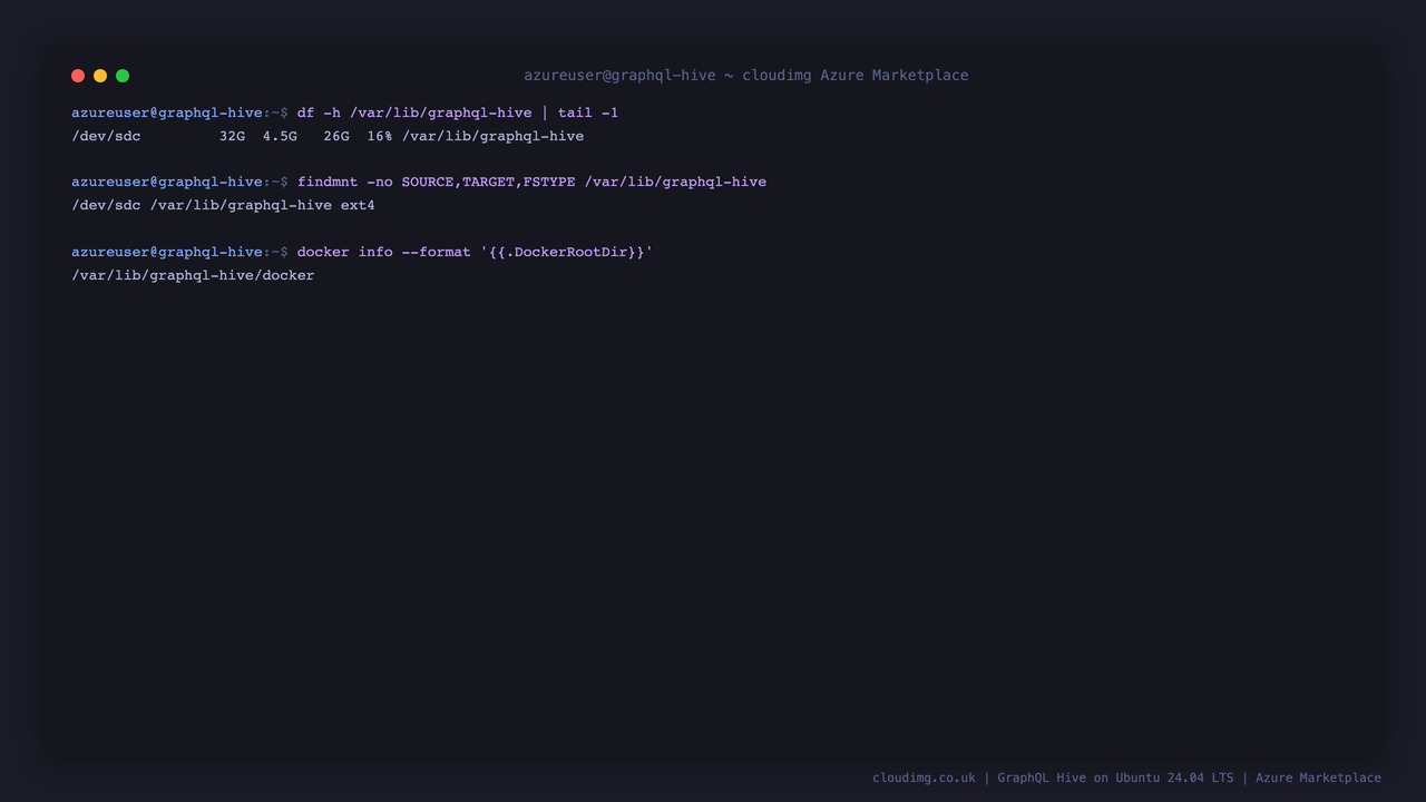 The Docker data root and all Hive registry data on the dedicated ext4 data disk mounted at /var/lib/graphql-hive