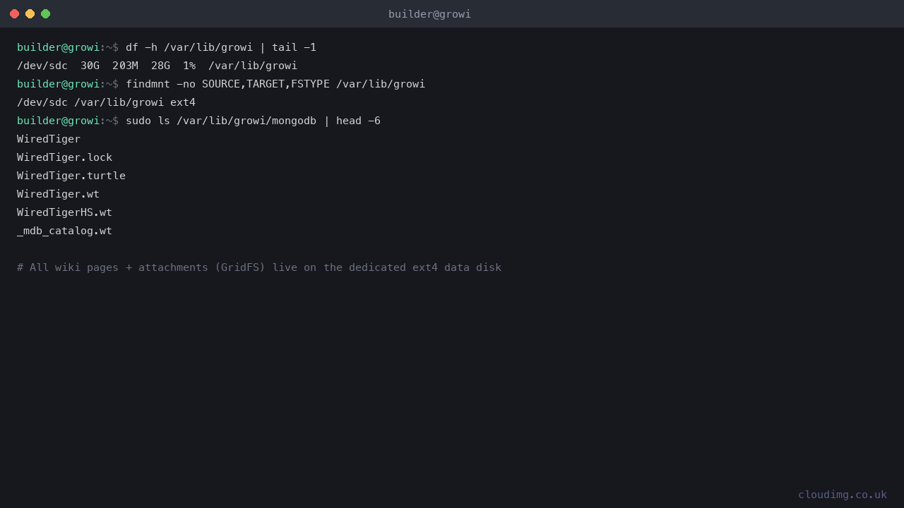 The MongoDB dbPath on the dedicated ext4 data disk, listing the WiredTiger data files