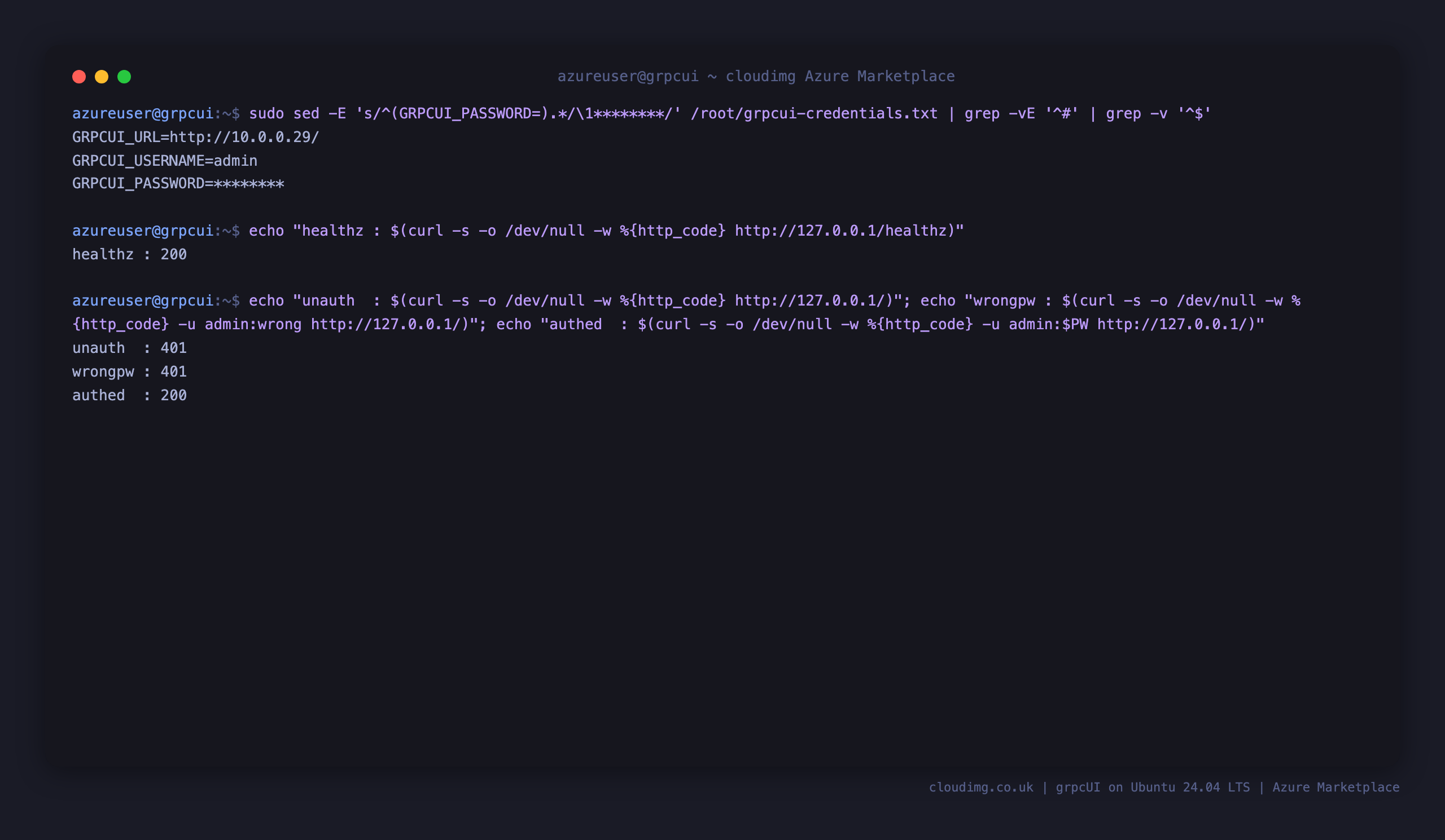 The per-VM credentials file with the password redacted, the health endpoint returning 200, and the Basic Auth round-trip returning 401 unauthenticated, 401 for a wrong password, and 200 with the per-VM password