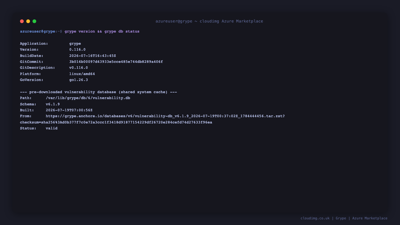 Grype version and pre-cached vulnerability database