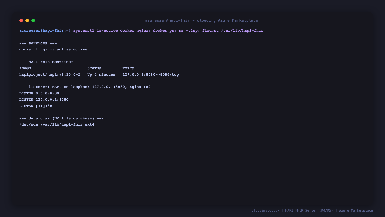 The docker and nginx services active, the HAPI FHIR container running on loopback 127.0.0.1:8080, nginx on port 80, and the dedicated data disk mounted at /var/lib/hapi-fhir