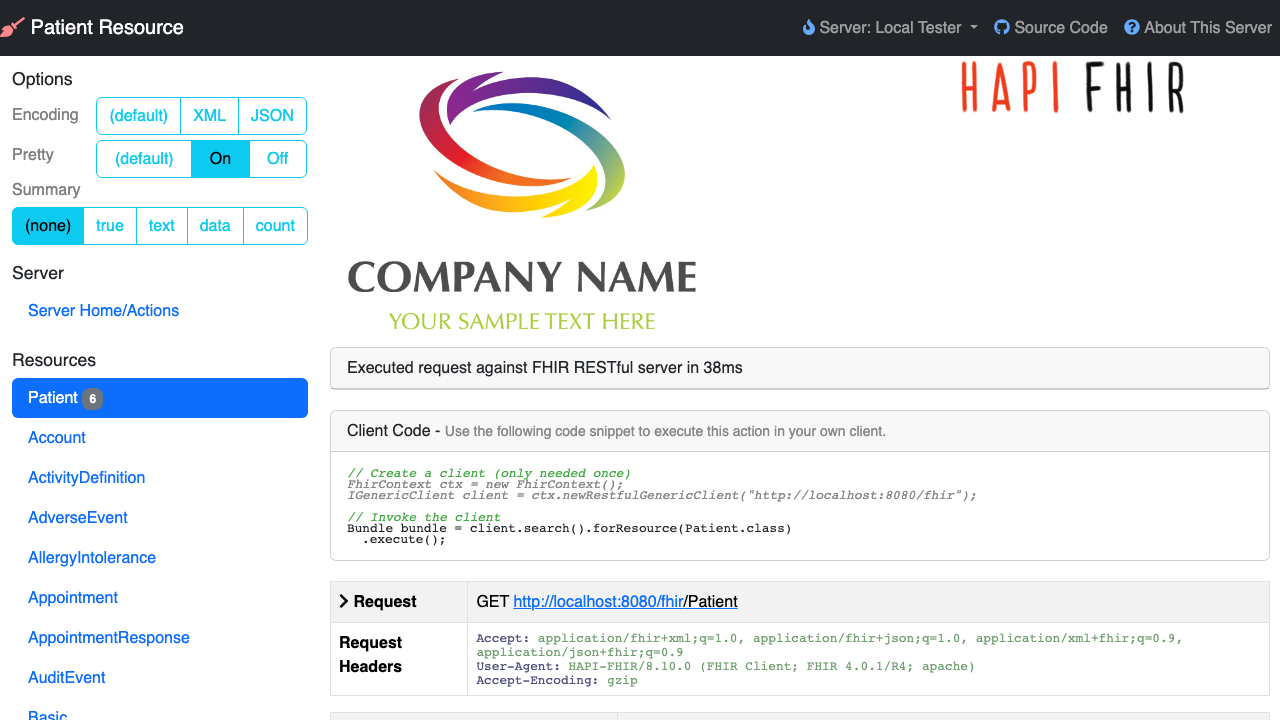 The tester UI executing a Patient search with GET /fhir/Patient, showing the timing, the generated FHIR client code snippet and the request that returns the stored Patient resources