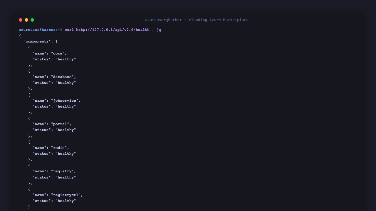 Harbor /api/v2.0/health returning healthy and /api/v2.0/systeminfo with version