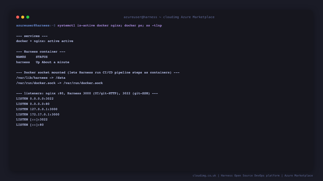 docker.service and nginx.service active, the harness container up, the Docker socket and the persistent data directory mounted, and the listeners on nginx port 80, Harness 3000 on loopback and the docker gateway, and Git over SSH on 3022