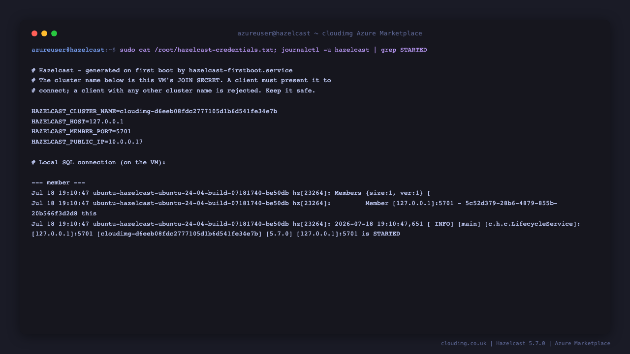 Hazelcast member details and the running service on the VM
