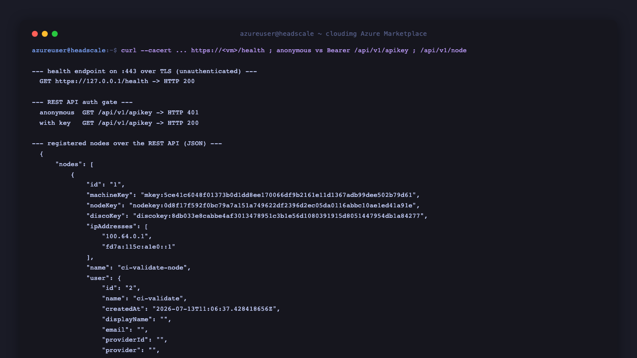 curl of /health returns HTTP 200 over TLS; an anonymous /api/v1/apikey request returns HTTP 401; the same request with the per instance Bearer API key returns HTTP 200 and the /api/v1/node list as JSON