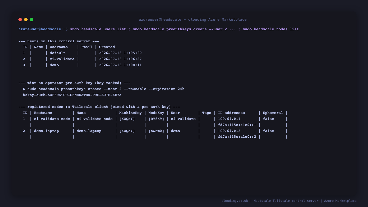 The control server side of a node joining: headscale users create and preauthkeys create mint a pre auth key, and after the client runs tailscale up, headscale nodes list shows the registered node online with a 100.64.0.0/10 tailaddress