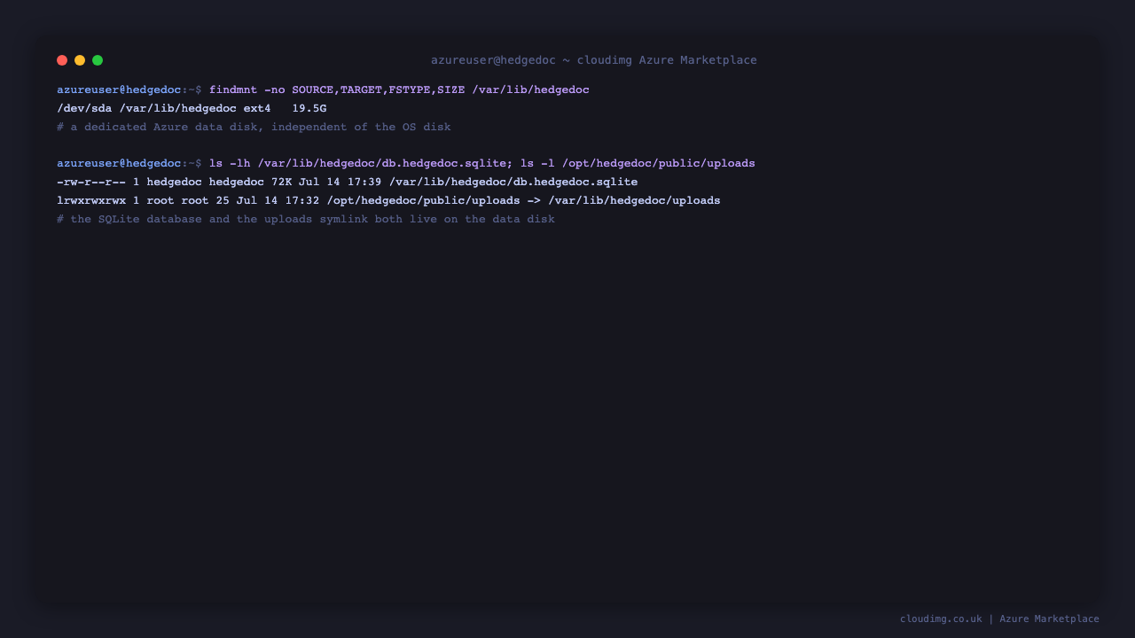 The dedicated Azure data disk holding the SQLite database, with the uploads directory symlinked onto it