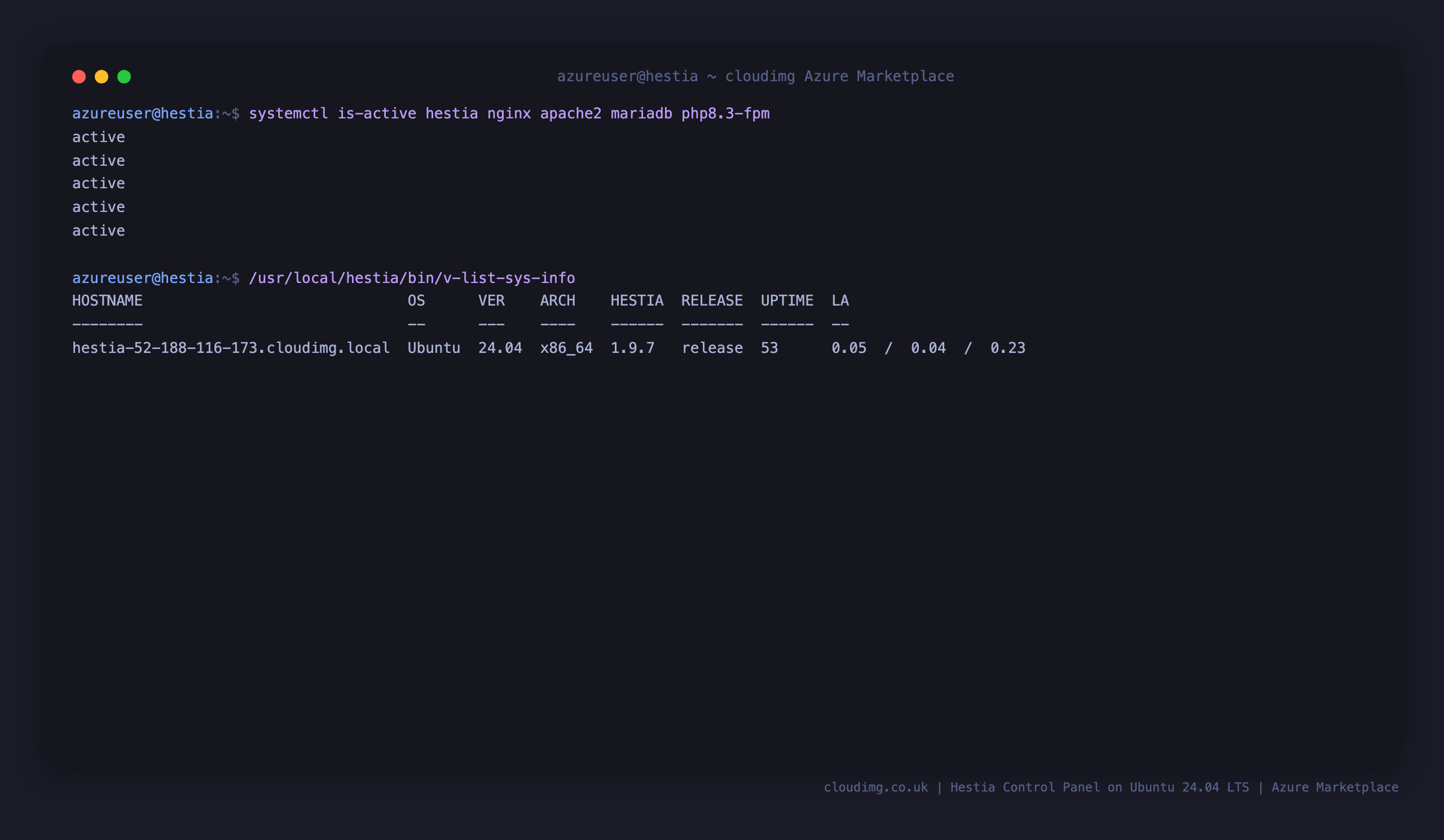 Hestia and the managed web stack reporting active, with the panel version from v-list-sys-info
