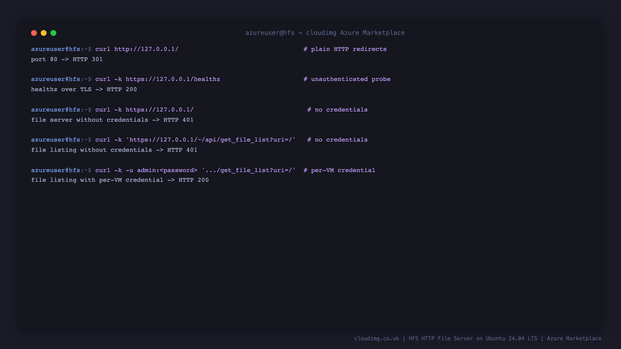 curl showing port 80 returning a 301 redirect, healthz returning 200, the file server and the file listing API each returning 401 without credentials, and the listing returning 200 with the per VM credential