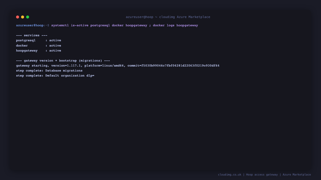 postgresql, docker and hoopgateway active, the gateway version 1.117.1 and its database migrations applied on start