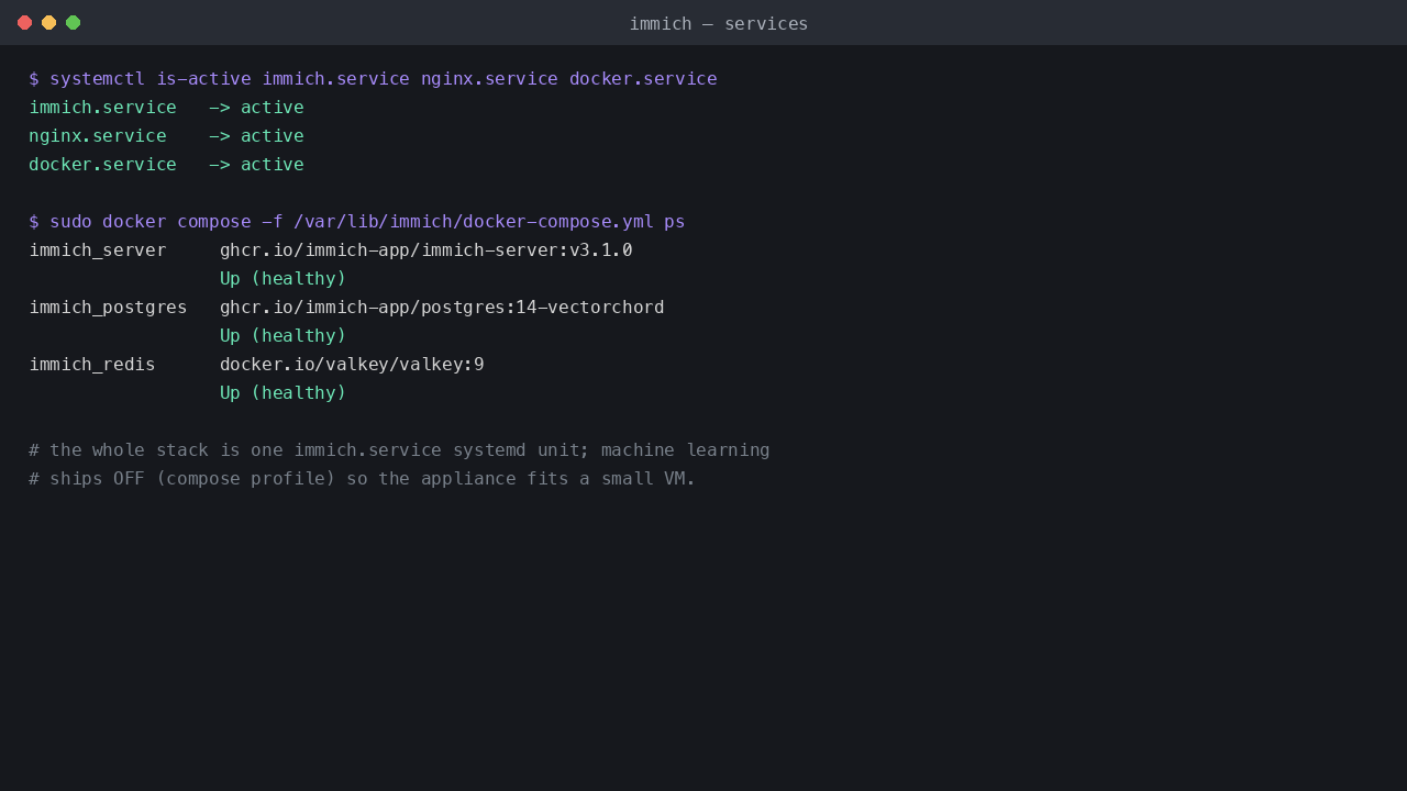 Immich Compose stack running under Docker - the immich-server, a PostgreSQL with VectorChord database and a Valkey redis, all healthy, managed as one immich.service systemd unit