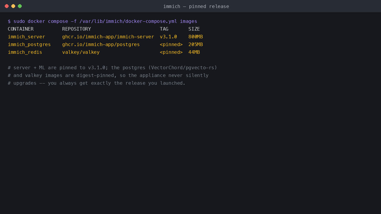 Immich pinned release - the immich-server is pinned to v3.1.0 and the PostgreSQL/VectorChord and Valkey images are digest-pinned, so the appliance always runs exactly the release you launched