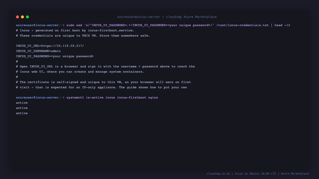 The per VM credentials file with the password masked, and the incus, incus-firstboot and nginx units all reporting active