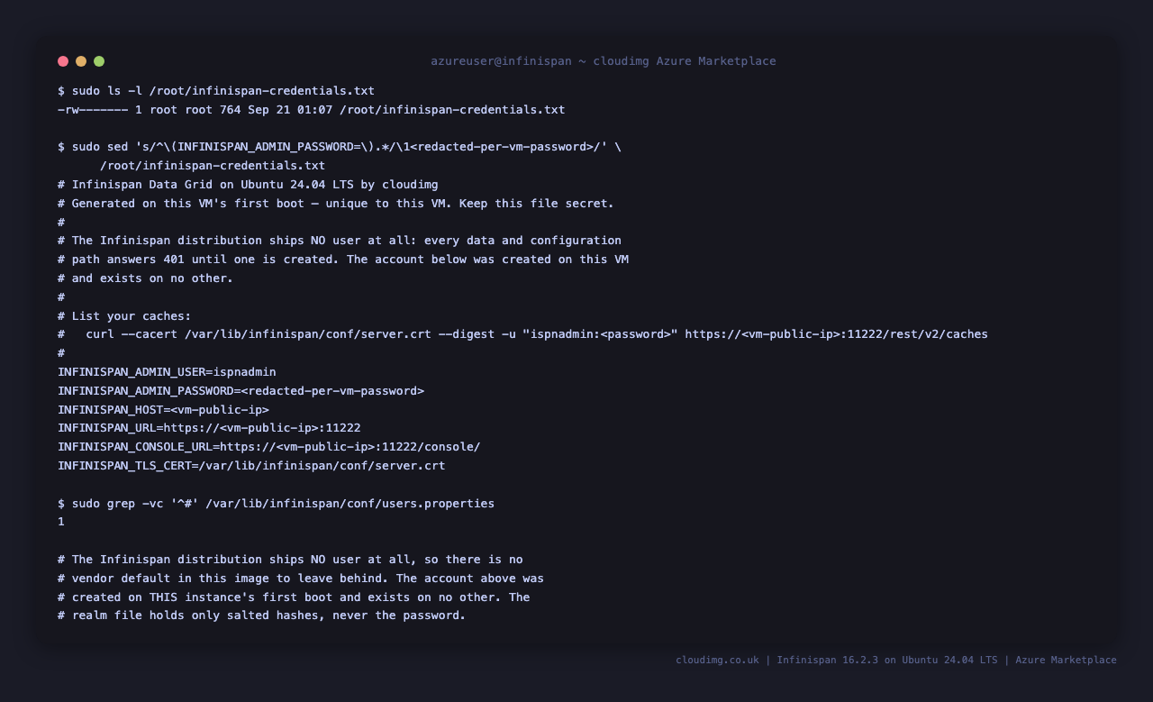 The per-VM credentials file, with the password value never rendered
