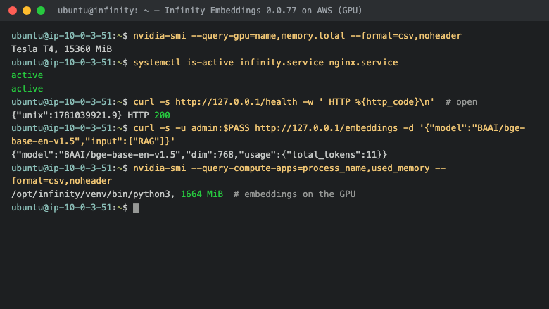 Infinity running on the cloudimg GPU AMI - Tesla T4 detected, embeddings served on the GPU, health open and /embeddings gated by a per-instance password