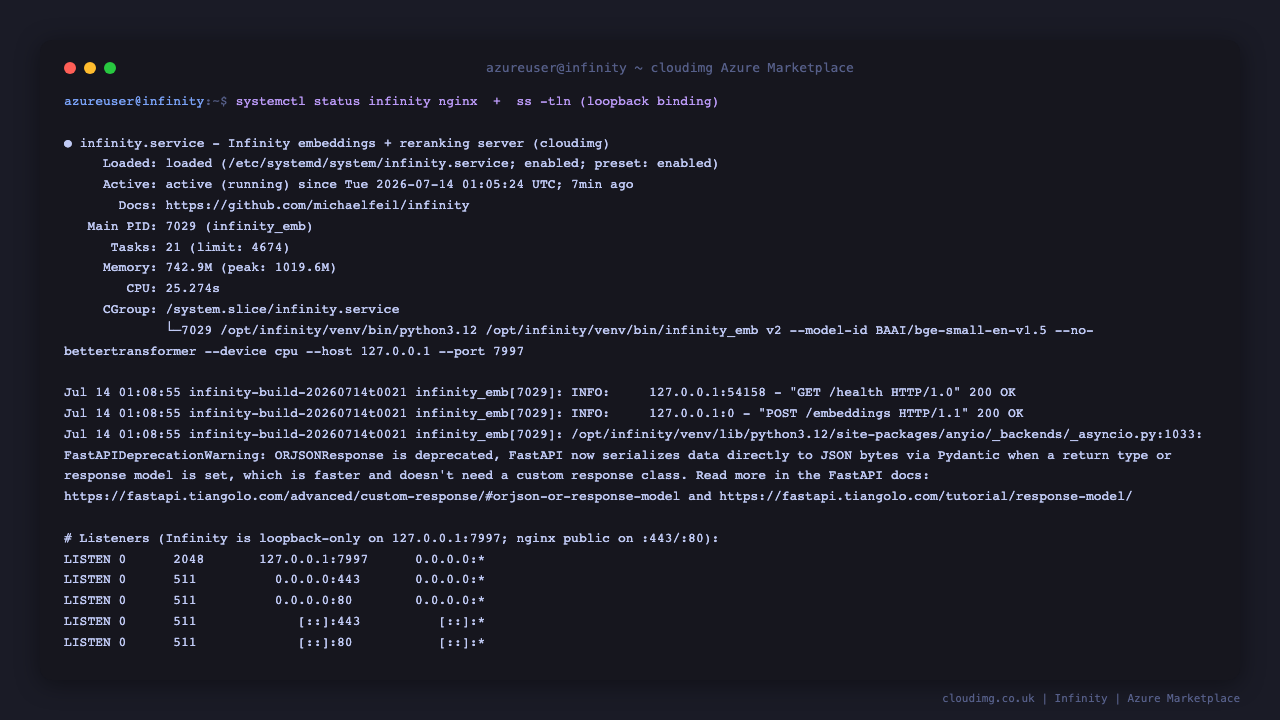 infinity.service and nginx.service both active (running); ss shows the Infinity server bound to 127.0.0.1:7997 loopback only, with nginx public on :443 and :80