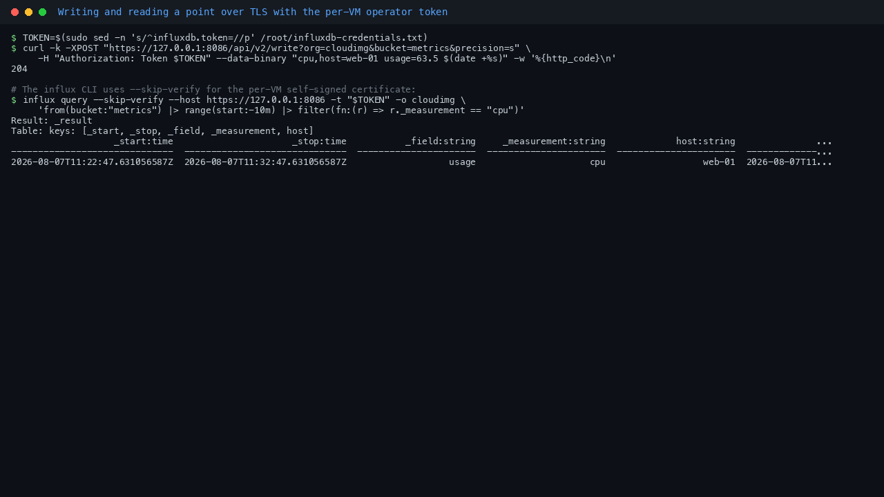 Writing a point over TLS with the per-VM operator token and reading it back with the influx CLI