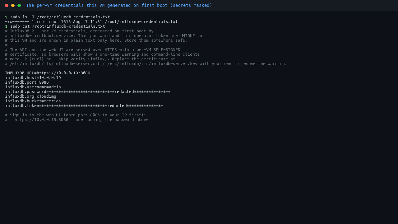 The per-VM credentials this VM generated on first boot, with the secrets masked