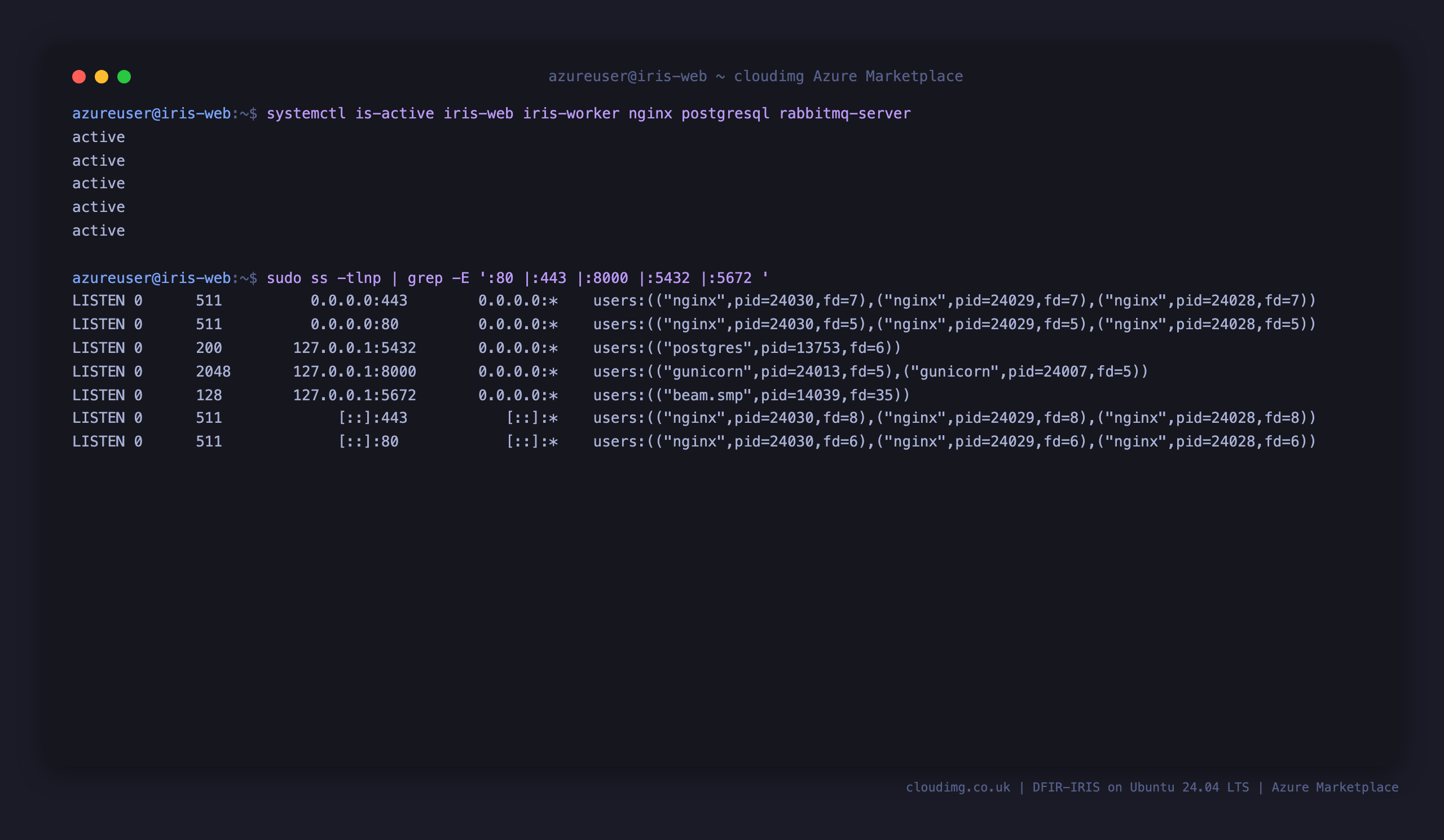DFIR-IRIS services active and listening ports on the cloudimg Azure image