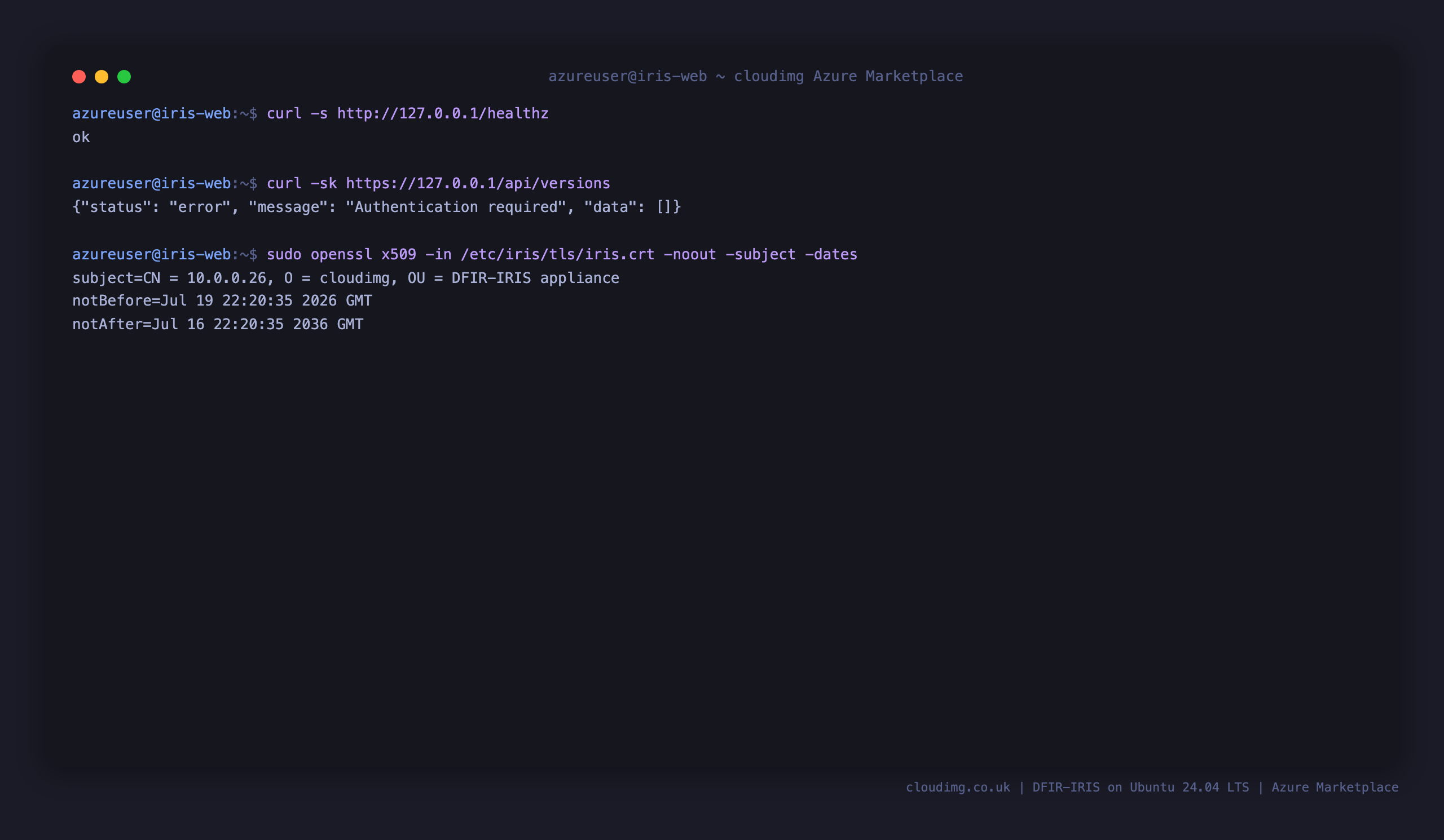 DFIR-IRIS version, health endpoint and per VM TLS certificate