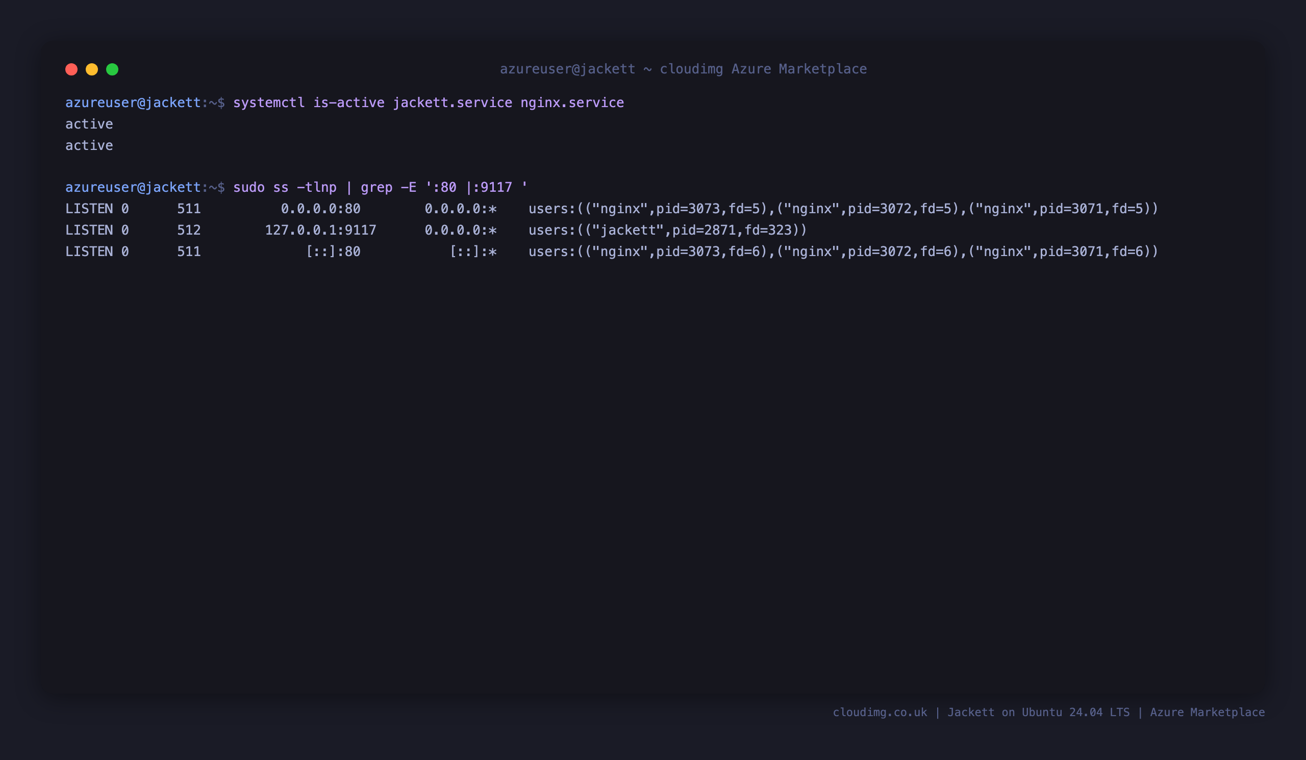jackett.service and nginx.service reporting active, with Jackett listening on 127.0.0.1:9117 and nginx on port 80
