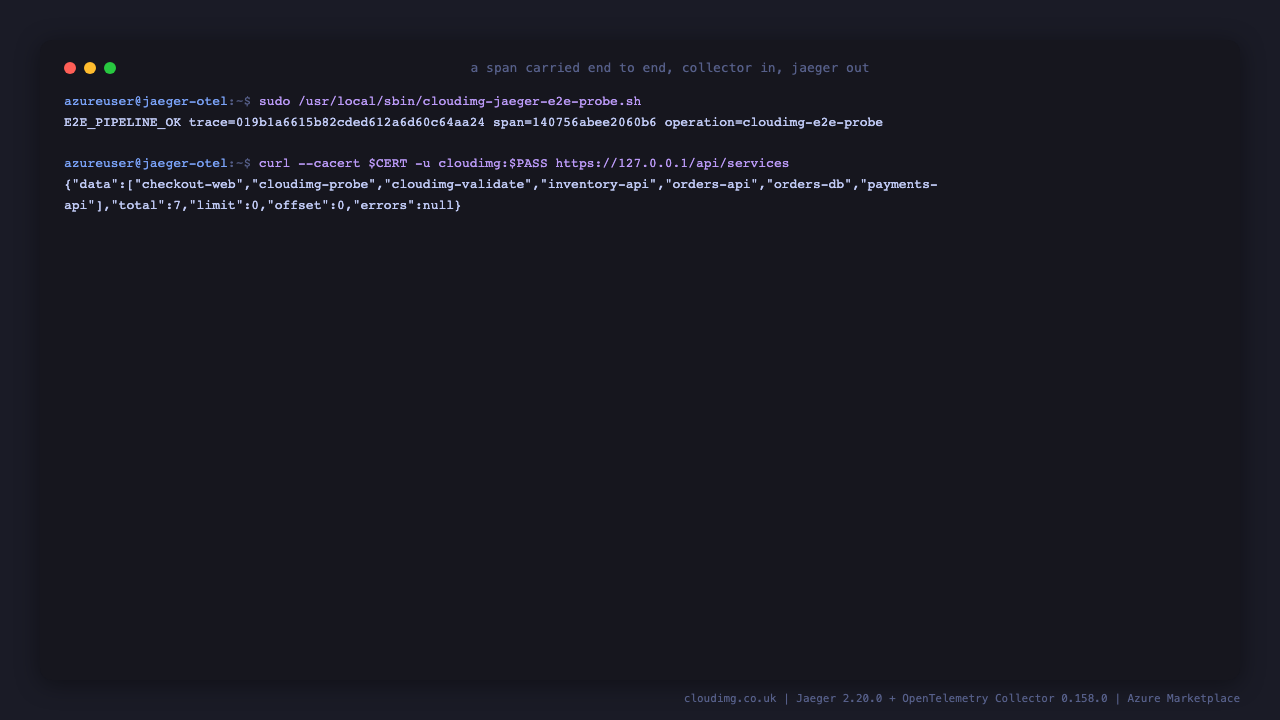 The on instance pipeline self test reporting a span carried end to end, and the Jaeger service list showing the services that produced traces