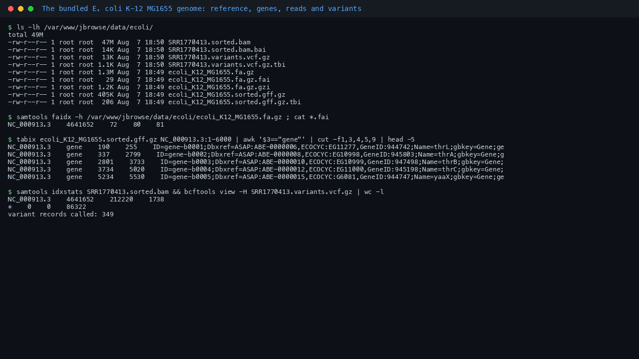 The bundled demo genome on disk: the indexed reference, the tabix indexed RefSeq annotation, the sorted BAM and the called variants