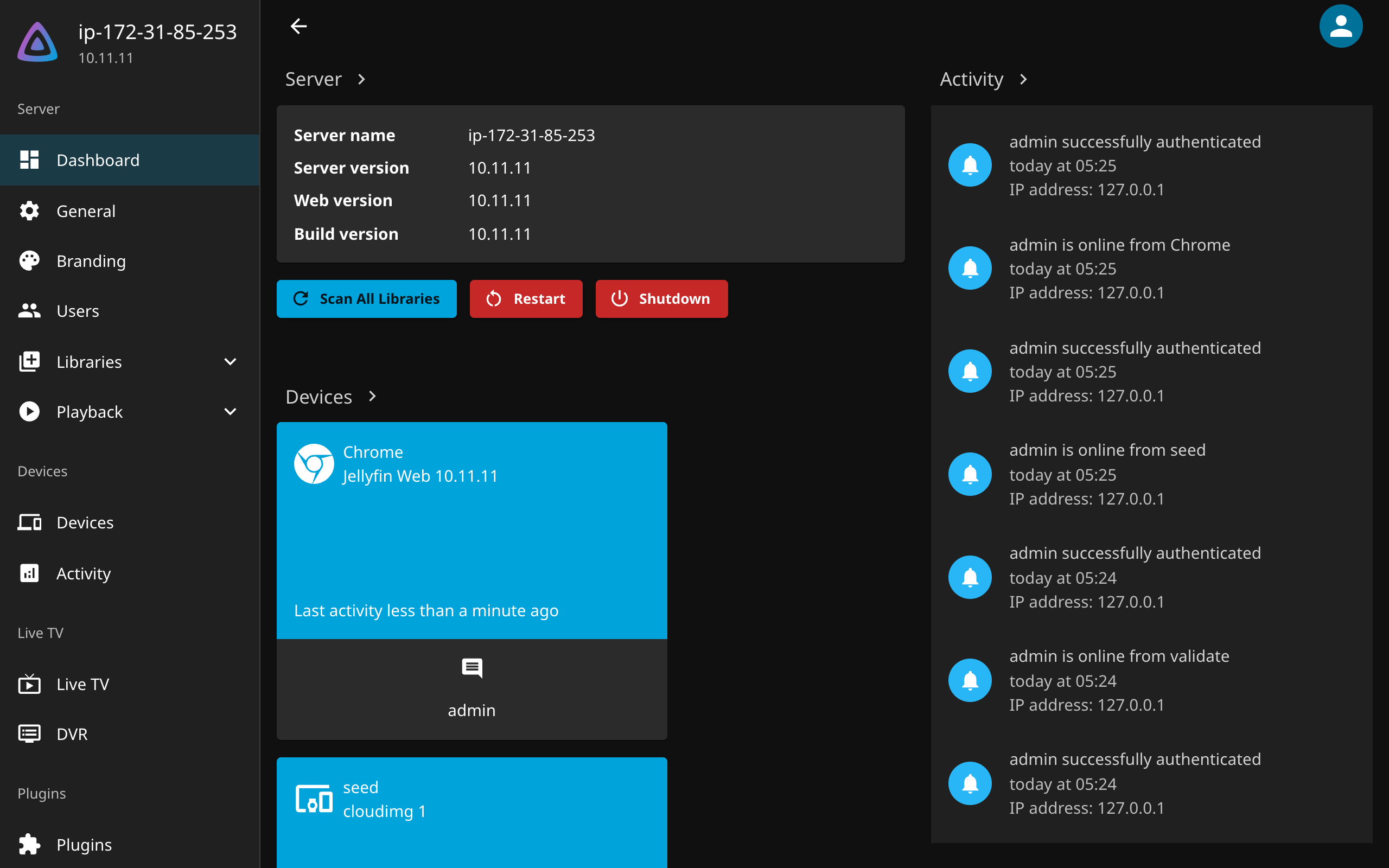 Jellyfin dashboard