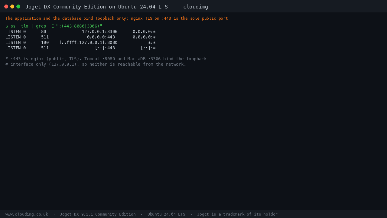 Joget loopback bindings, only nginx TLS is public
