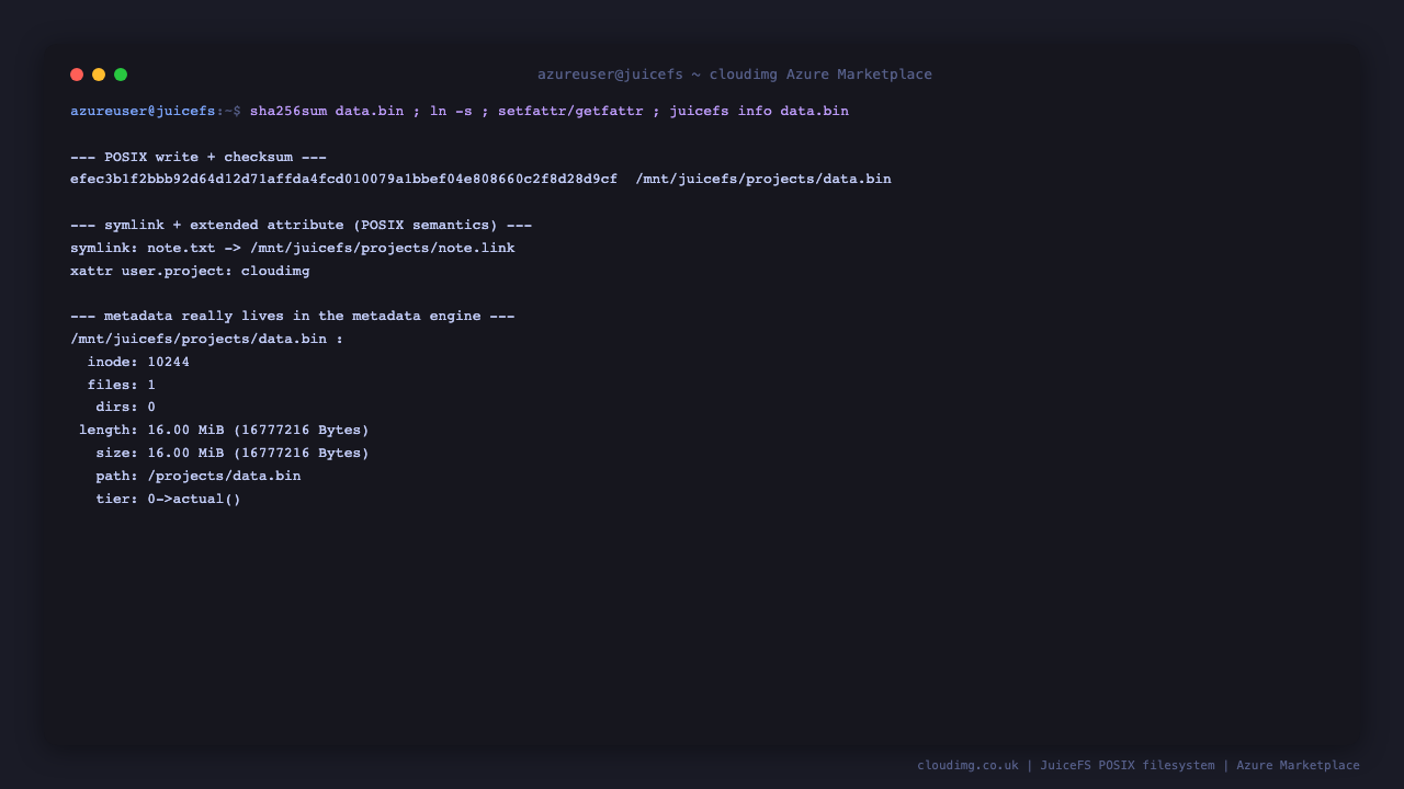A directory created on the JuiceFS volume with a text file and a 16 MiB random binary file written into it, the sha256 checksum of that binary, a directory listing showing both files, and a symlink plus an extended attribute set and read back successfully to prove full POSIX semantics