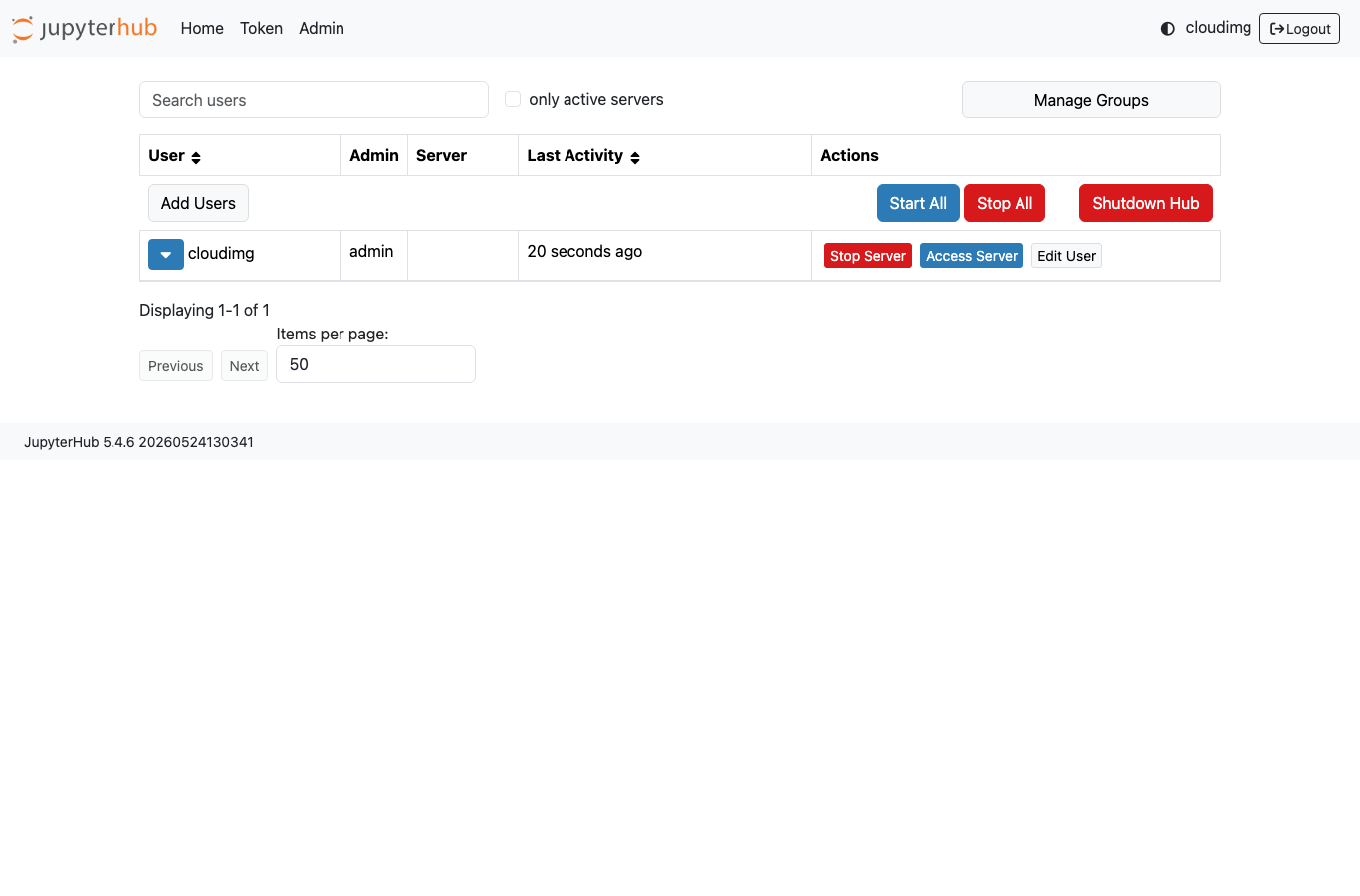 JupyterHub admin panel
