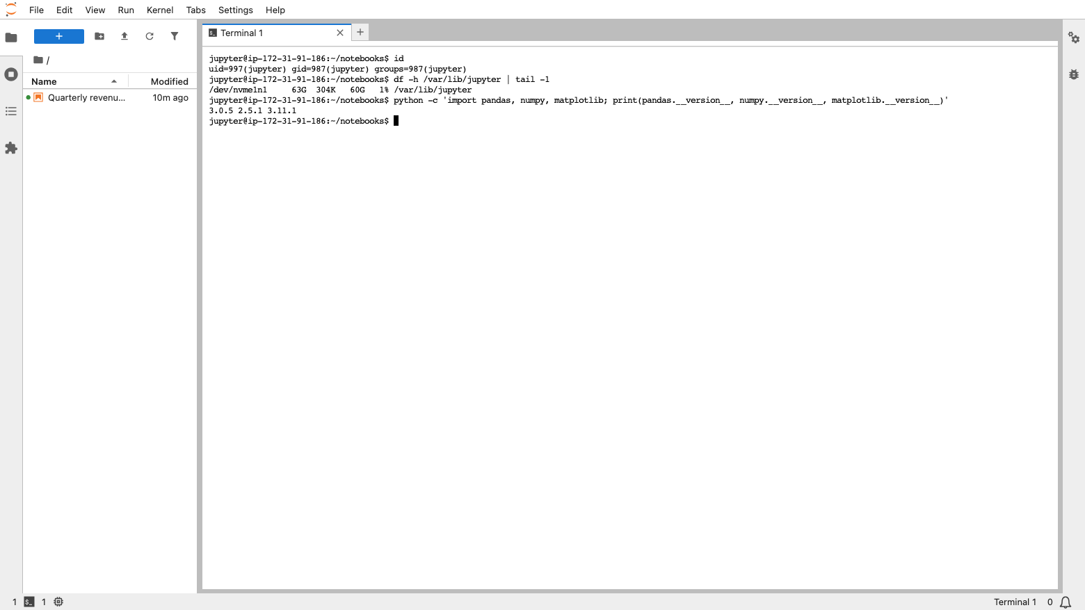 The built-in JupyterLab terminal running as the unprivileged jupyter account