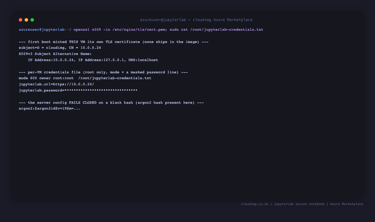 The per-VM TLS certificate minted at first boot with the VM address in its subject alternative name, and the root-only credentials file with the URL and a masked password line