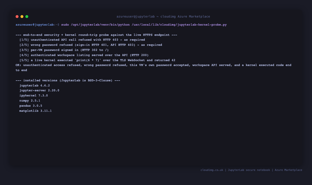 The end-to-end security and kernel round-trip probe passing all five checks, and the installed JupyterLab, NumPy, pandas and Matplotlib versions