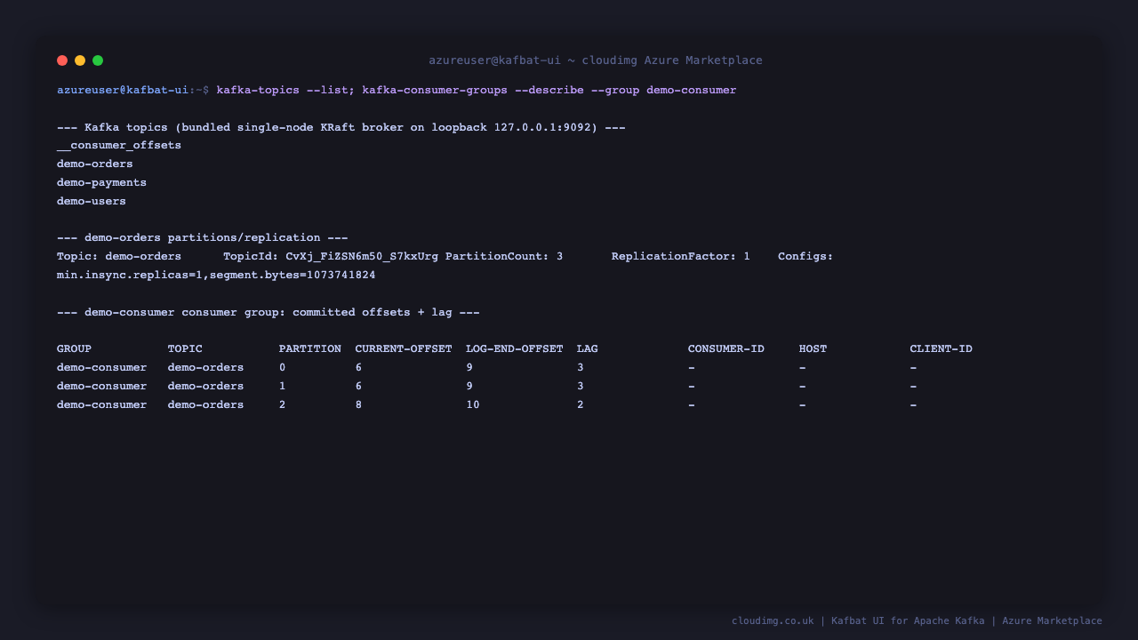 The Kafka command line tools on the VM listing the seeded topics on the loopback broker, describing the demo-orders topic, and showing the demo-consumer group's committed offsets and per partition lag