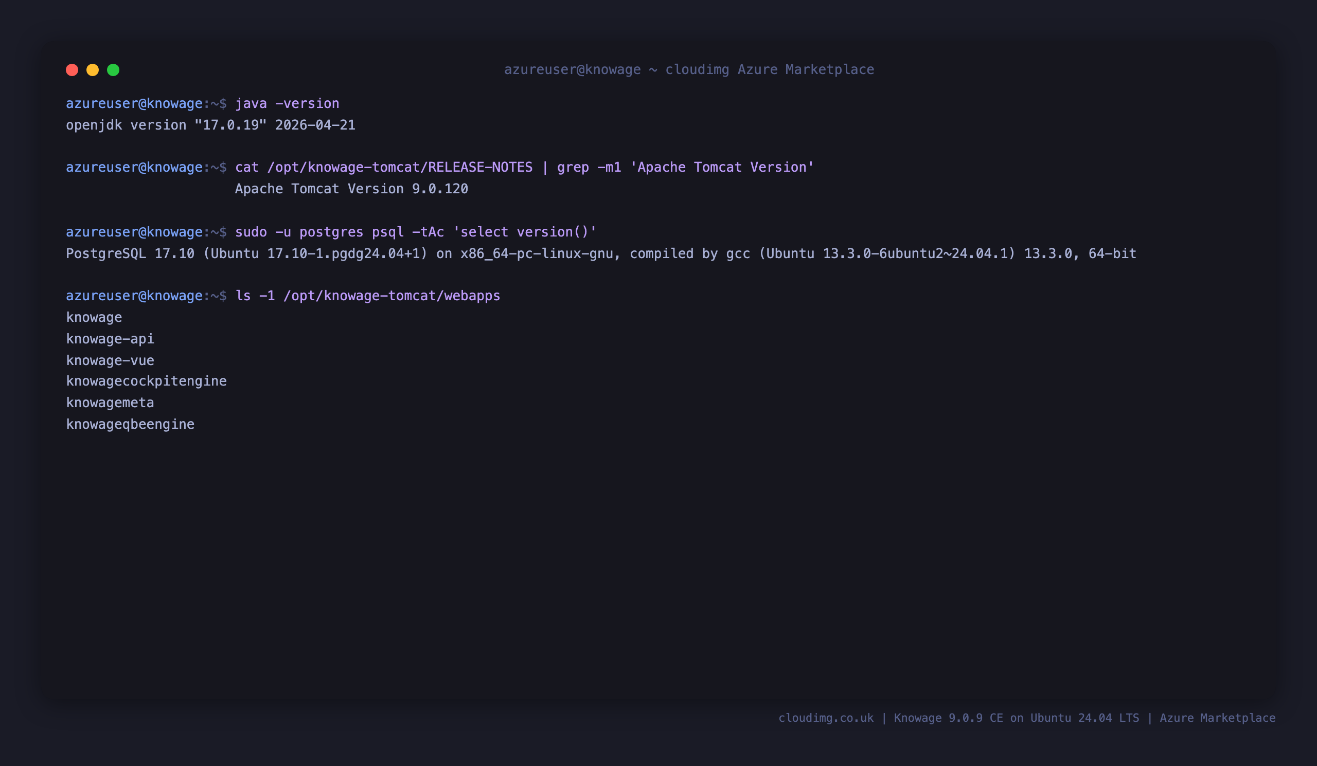 the OpenJDK 17 runtime, Apache Tomcat 9.0.x, PostgreSQL 17 and the deployed Knowage web applications: knowage, knowage-api, knowage-vue, knowagecockpitengine, knowagemeta and knowageqbeengine