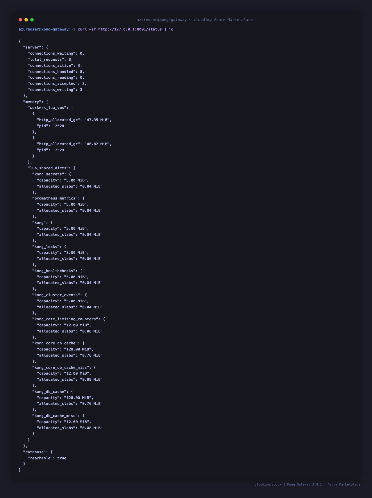Kong Admin API /status returns 200 with database connectivity confirmed
